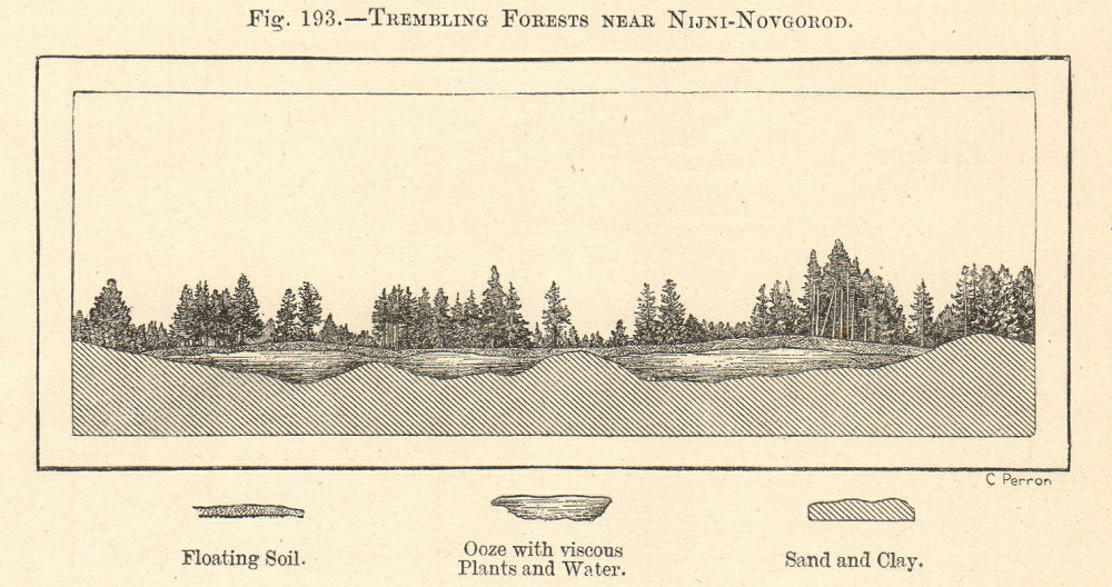 Trembling Forests near Nizhny-Novgorod. Kerzhenets. Russia. Section 1885 print